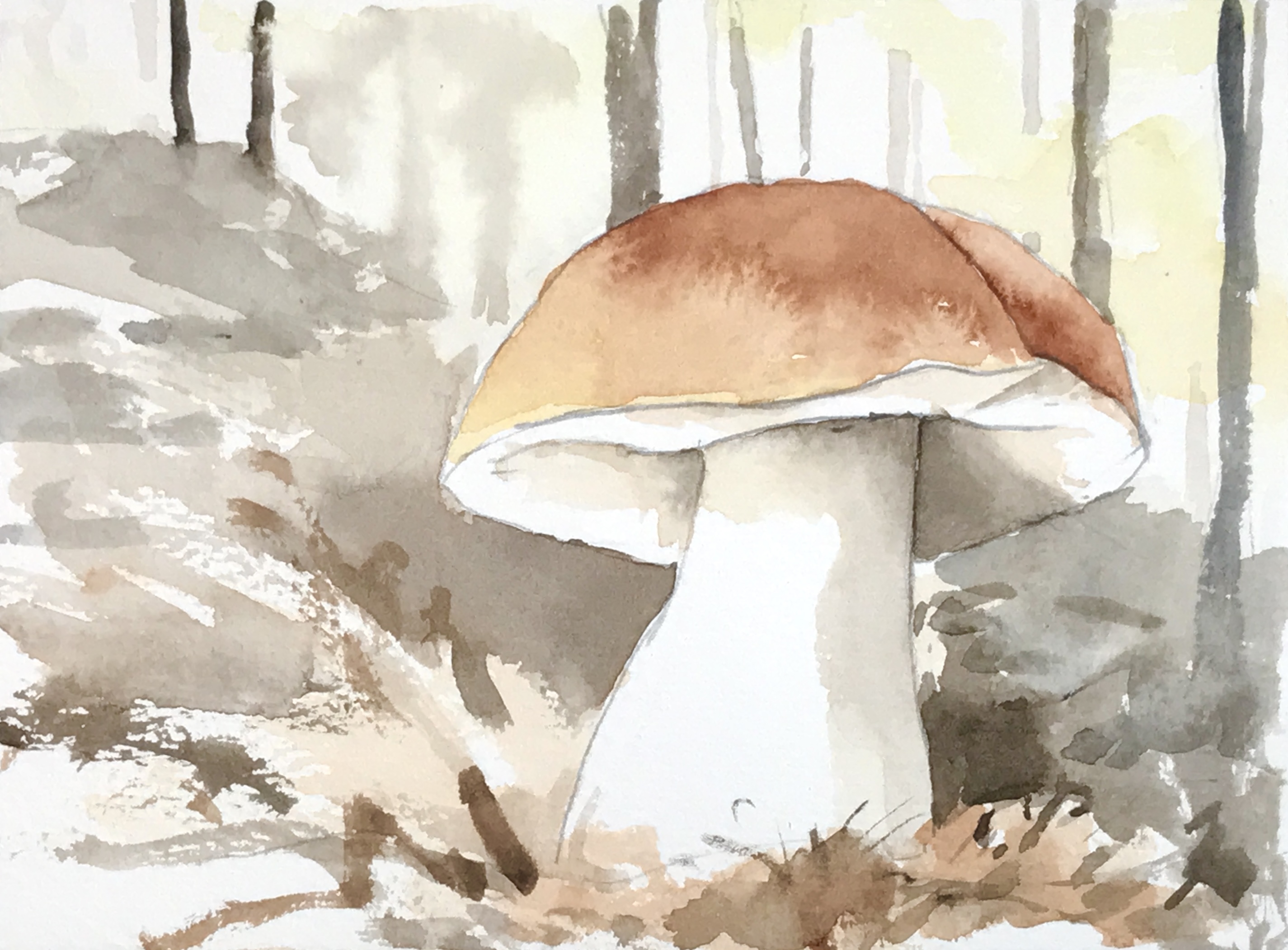 Aquarell (Lea Joos): Pilz