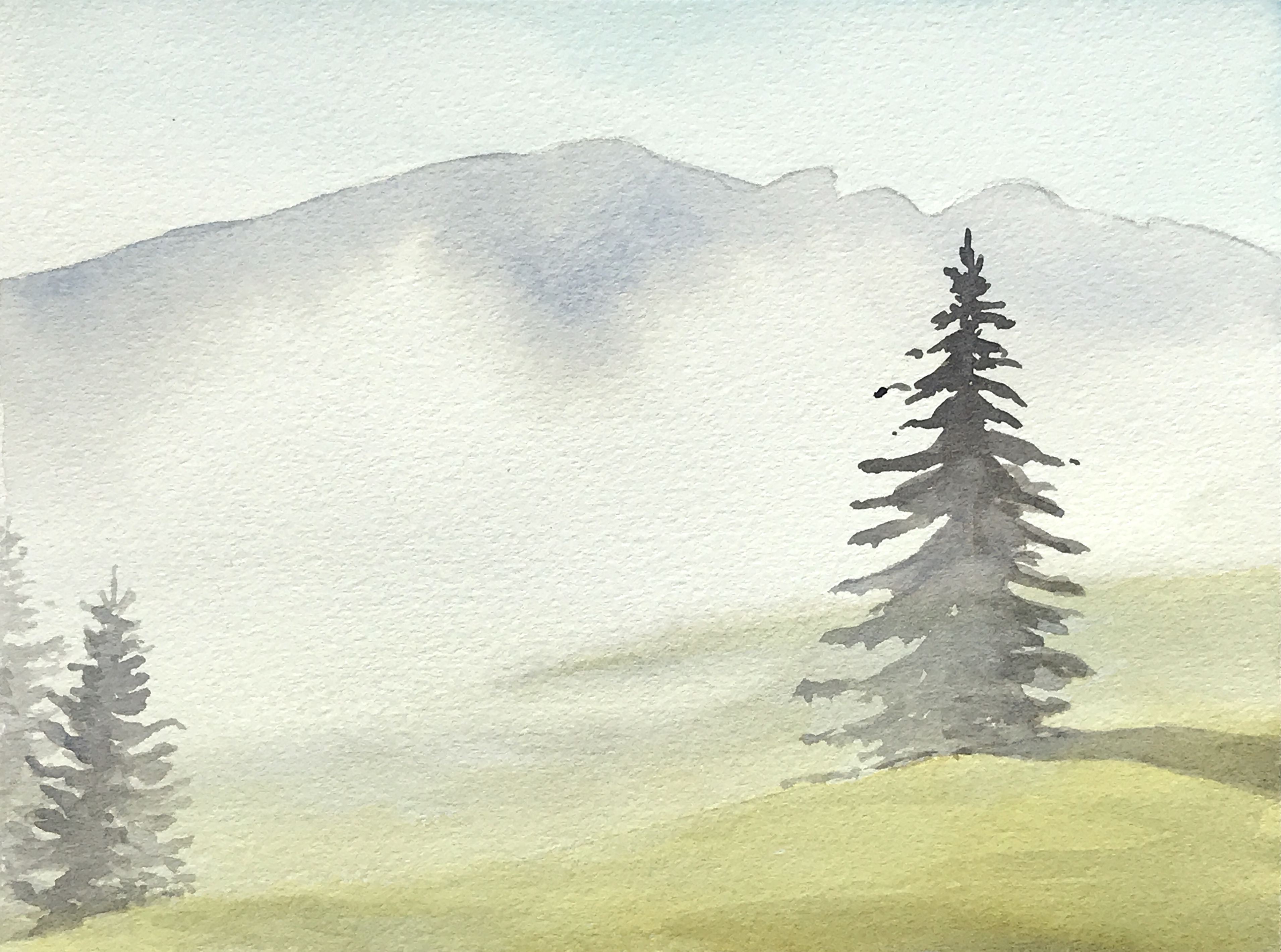 Aquarell: Tannen im Nebel