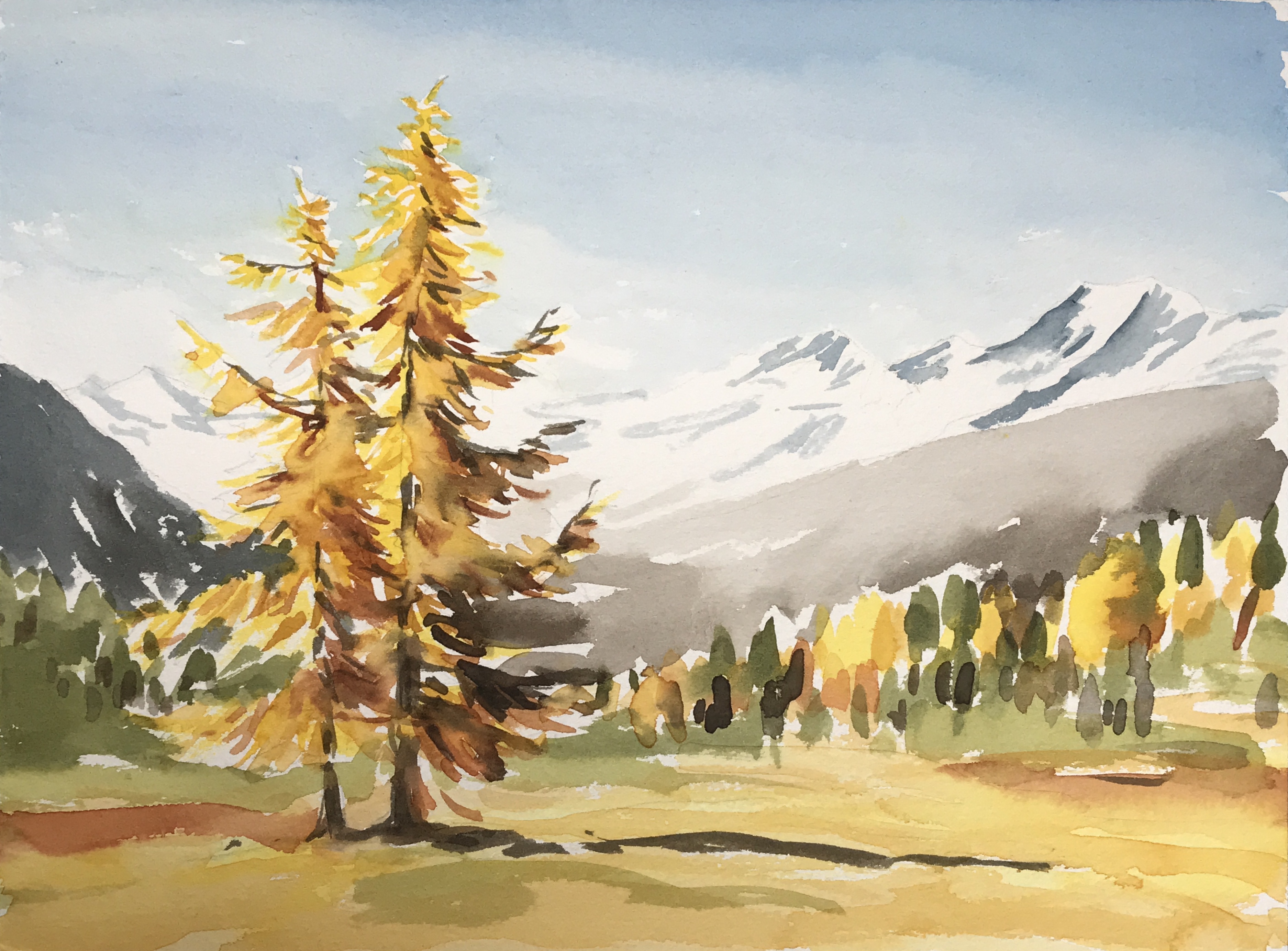 Aquarell: Herbst, Lärche