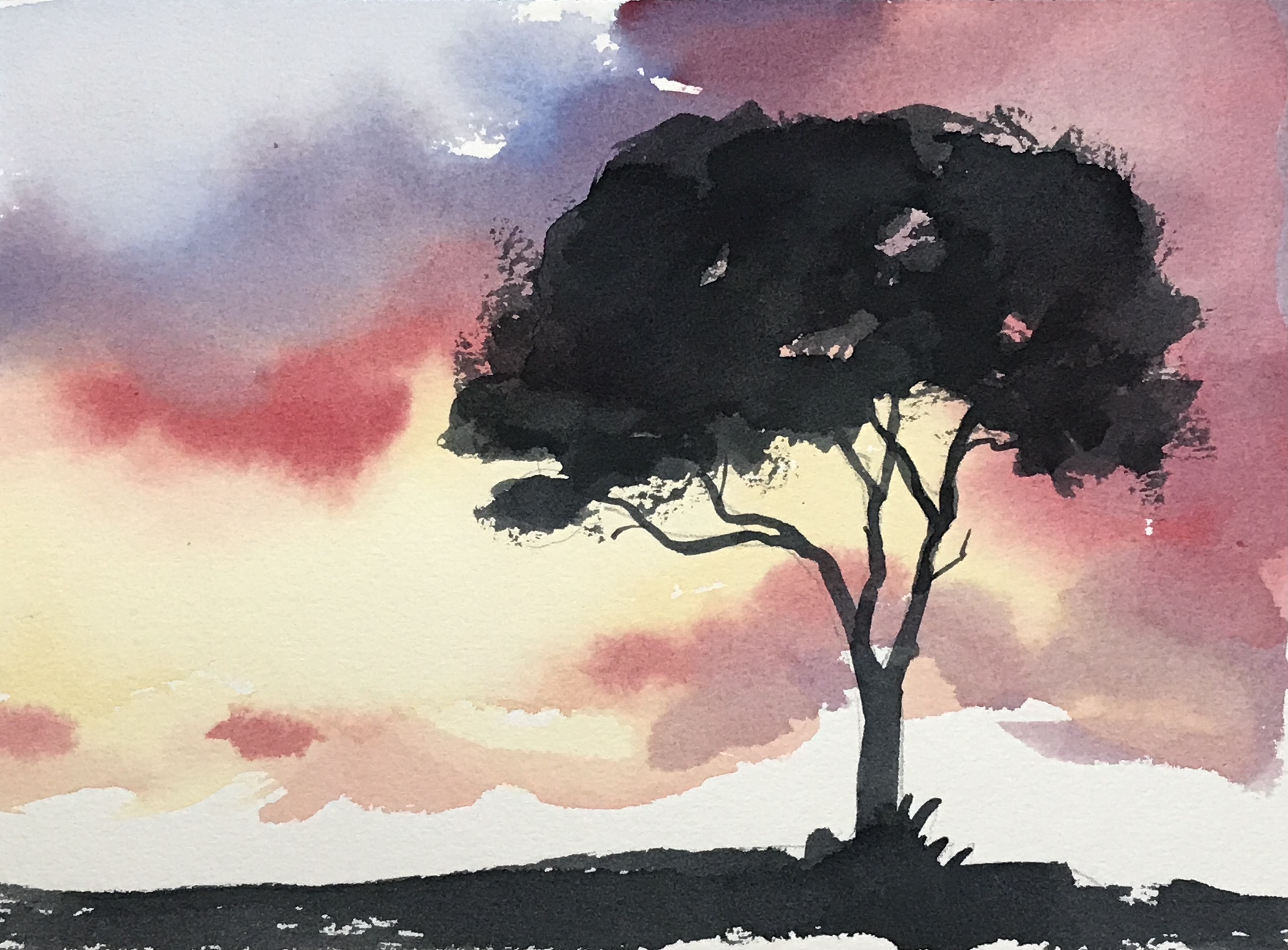 Aquarell: Pinie, Abendstimmung