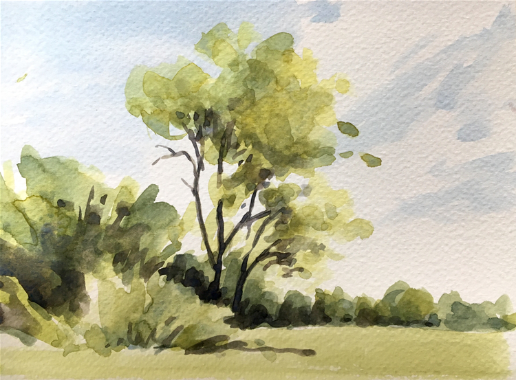 Aquarell: Bäume