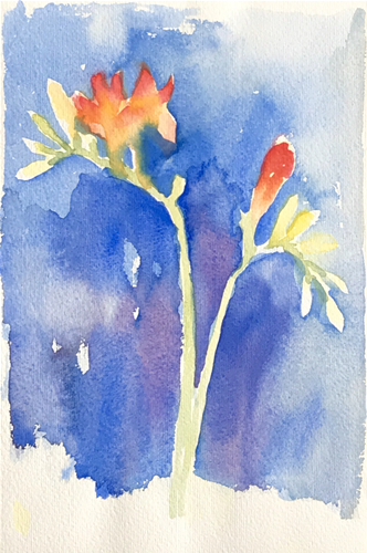 Aquarell: Tulpen