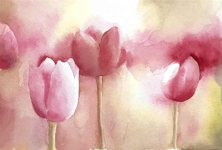 Aquarell: Tulpen